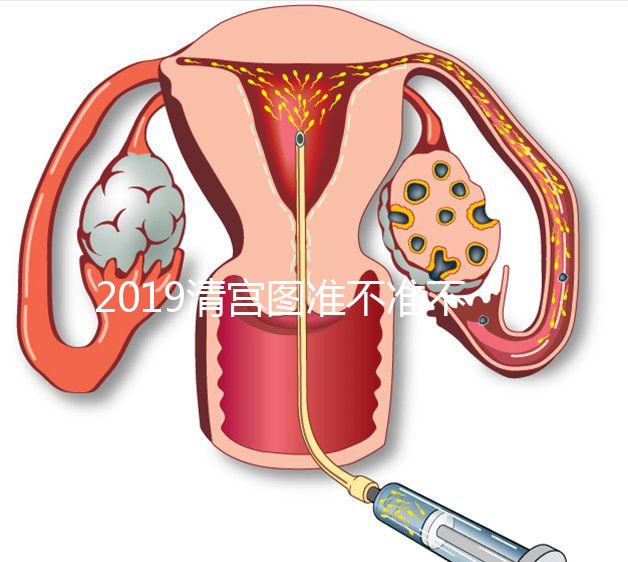 2019清宮圖準不準不知道，但檢測生男女這3種方法才科學