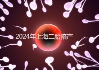 2024年上海二胎陪產(chǎn)假新規(guī)定,浦東10天或15天