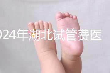 2024年湖北試管費(fèi)醫(yī)療保險(xiǎn)可以報(bào)銷(xiāo)？專家：時(shí)間還沒(méi)到？