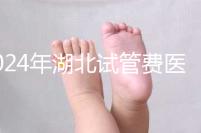 2024年湖北試管費醫療保險可以報銷？專家：時間還沒到？