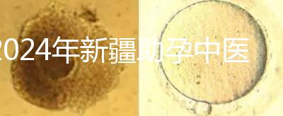 2024年新疆助孕中醫數不勝數，頂尖專家技能水平高