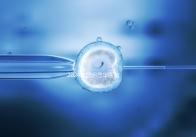 2024年昆明昆華醫(yī)院無創(chuàng)dna價格暴露，醫(yī)?？梢运⒃缰? /></div><var dir=