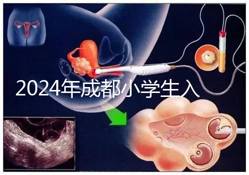 2024年成都小學生入學年齡新規定,青羊區仍限于9月1日