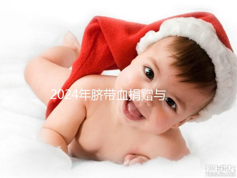 2024年臍帶血捐贈與自存的區別來襲，哪個是好的揭秘？