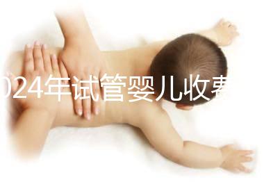 2024年試管嬰兒收費(fèi)價(jià)目表及一／二／三代費(fèi)用明細(xì)概覽