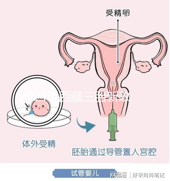 2024年西藏三胎新政策出臺(tái)，拉薩、日喀則產(chǎn)假戳多久？