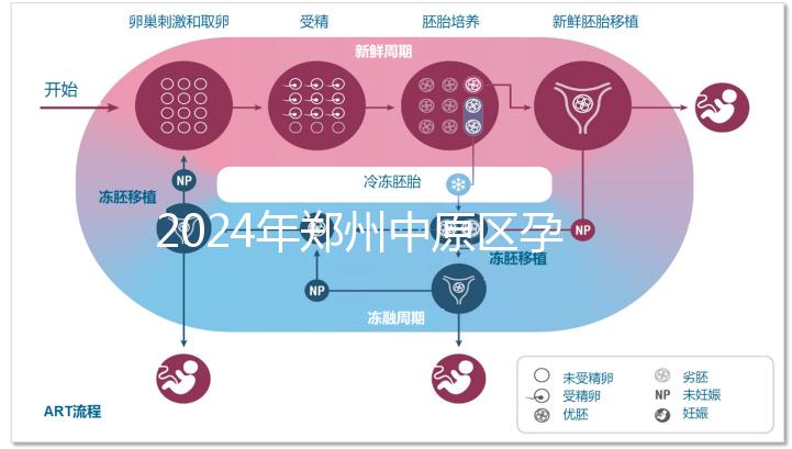 2024年鄭州中原區(qū)孕前檢查免費(fèi)政策，選擇合適的醫(yī)院可以節(jié)省數(shù)百人