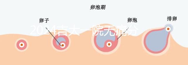 2024吉大一院無痛分娩費用全策略包括從備案到生產