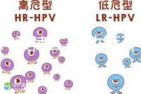 2024天津二胎政策開放，分析最新政策信息