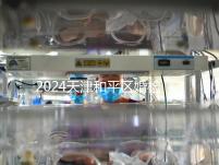 2024天津和平區(qū)婚檢預約并不難！最重要的是找到免費醫(yī)院！