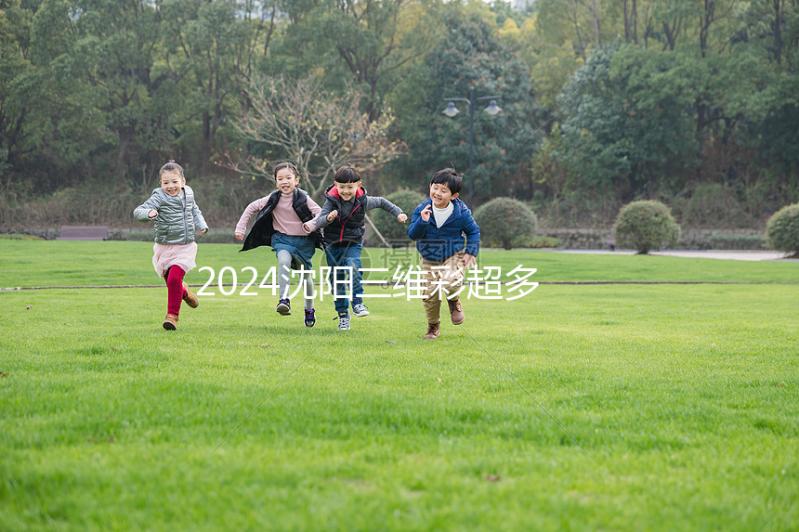 2024沈陽三維彩超多少錢？排名前三的醫(yī)院準確率不低