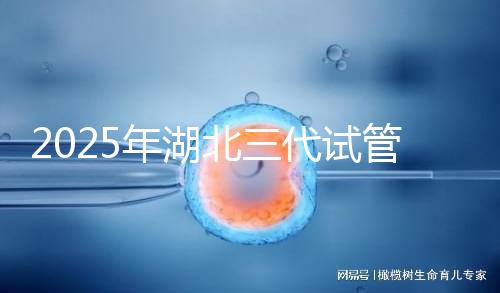 2025年湖北三代試管嬰兒費用明細一覽 附價格清單！
