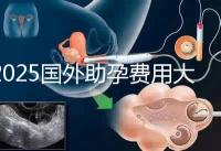 2025國外助孕費用大公開：單身人士費用對比與機構推薦