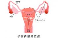 2025昆明三代試管助孕機構收費明細，價格8萬至15萬不等