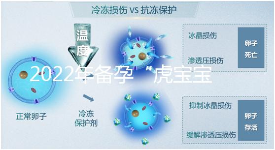 2022年備孕“虎寶寶”時間表，生孩子選這幾個月命最好