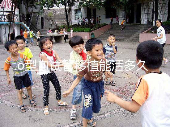 o型血試管移植能活多久？壽命長的關(guān)鍵在于這些點(diǎn)