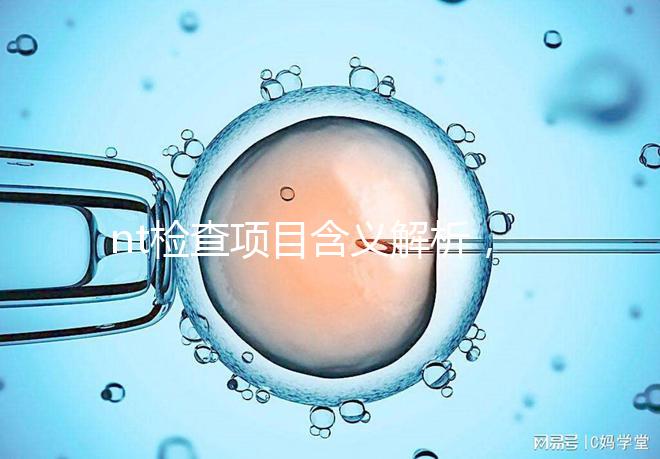 nt檢查項目含義解析，每個內(nèi)容都相當重要